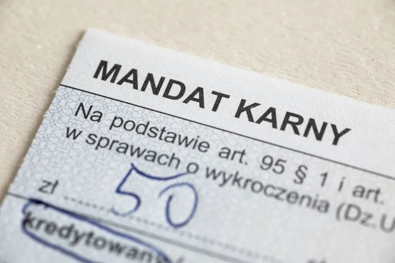 Czym jest mandat w polityce i jak wpływa na działanie rządu?