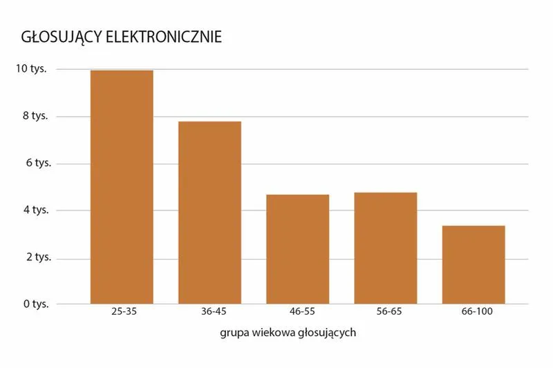 Głosowanie przez internet