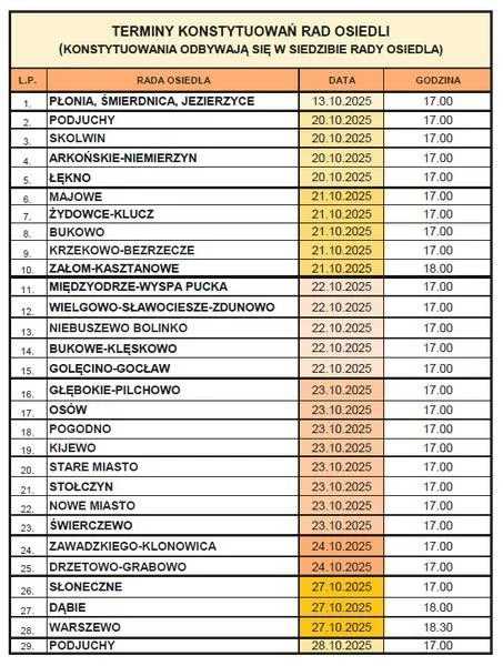Jak głosować w Szczecinie