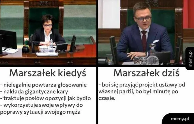 Jak zostać politykiem