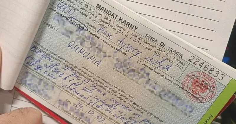 Mandat w polityce