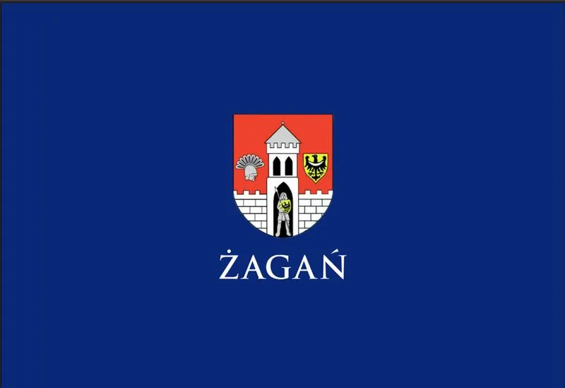Organizacja wyborów