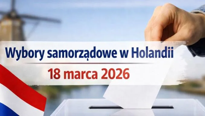 Partie polityczne w wyborach