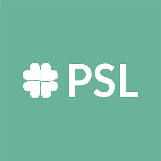 Polityczna analiza PSL