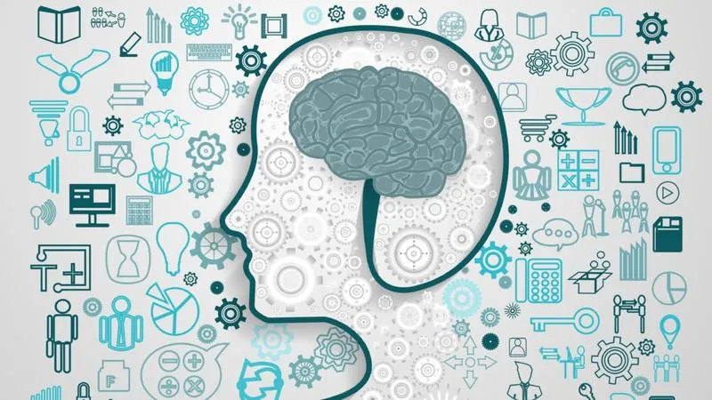 Polityka edukacyjna rządu