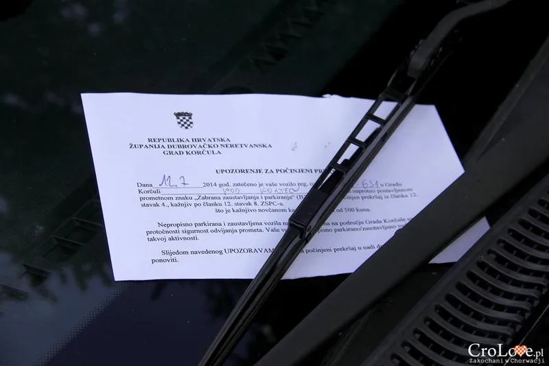 Przypadki mandatów w Polsce