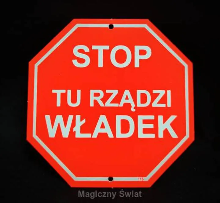 Władek w polskiej polityce