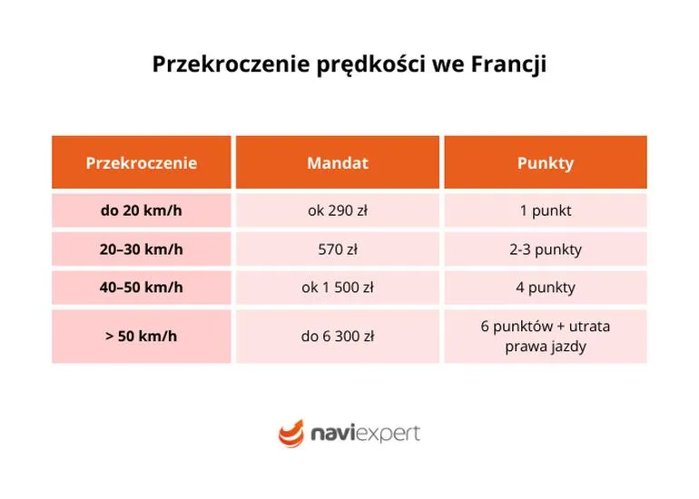 Wybory 2026 w Polsce