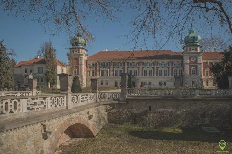 Wybory samorządowe Łańcut