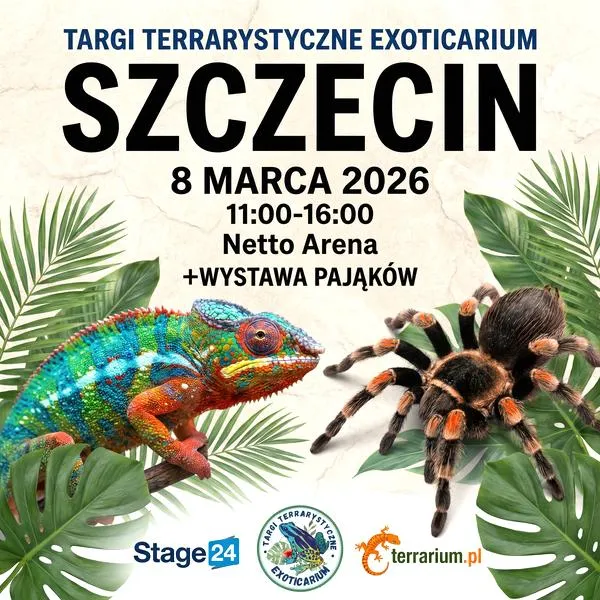 Wyniki wyborów prezydenckich
