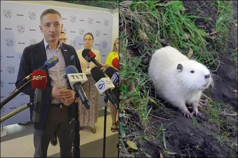 Zarządzanie miastem Rybnik